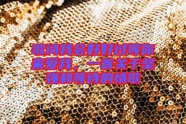 歌詞我會(huì)好好過(guò)等你來(lái)愛我,一首關(guān)于堅(jiān)強(qiáng)和等待的情歌