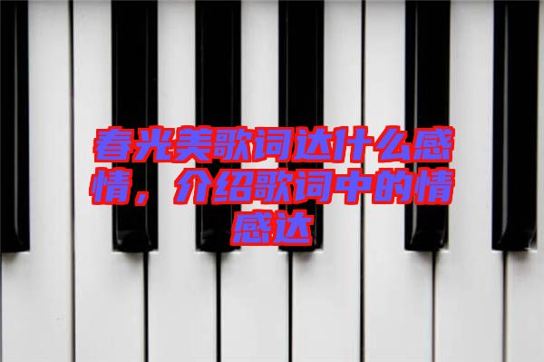 春光美歌詞達什么感情,介紹歌詞中的情感達