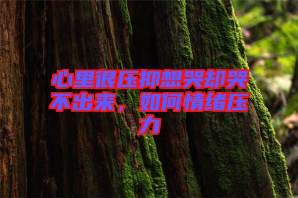 心里很壓抑想哭卻哭不出來,如何情緒壓力