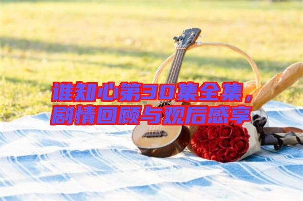 誰知心第30集全集,劇情回顧與觀后感享