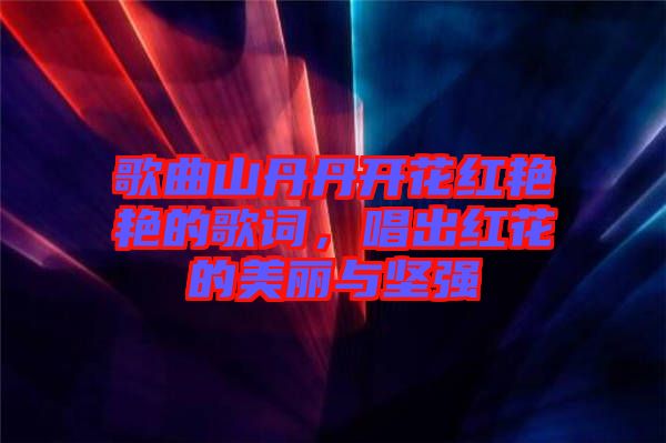 歌曲山丹丹開花紅艷艷的歌詞,唱出紅花的美麗與堅強