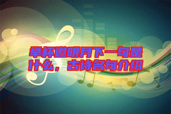 舉杯邀明月下一句是什么,古詩名句介紹