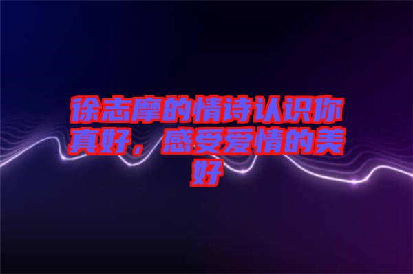 徐志摩的情詩認識你真好,感受愛情的美好