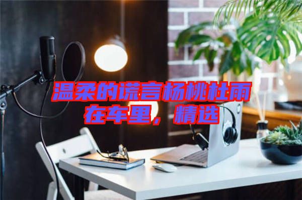 溫柔的謊言楊桃杜雨在車里，精選