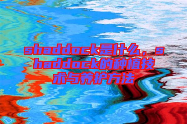 shaddock是什么,shaddock的種植技術與養護方法