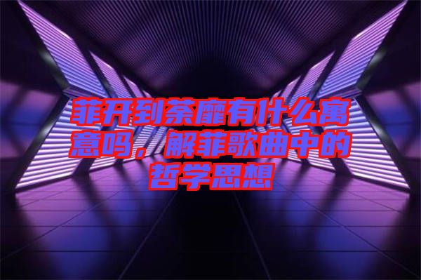 菲開到荼靡有什么寓意嗎,解菲歌曲中的哲學思想