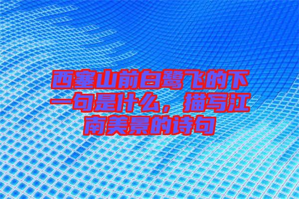 西塞山前白鷺飛的下一句是什么，描寫江南美景的詩句