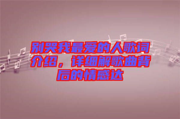 別哭我最愛的人歌詞介紹,詳細解歌曲背后的情感達
