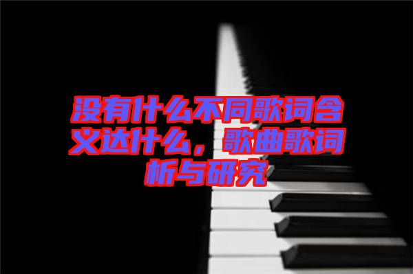 沒有什么不同歌詞含義達什么，歌曲歌詞析與研究