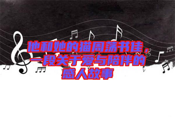 他和她的貓周蕩書佳,一段關于愛與陪伴的感人故事