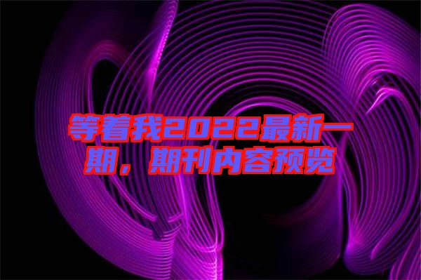 等著我2022最新一期,期刊內容預覽