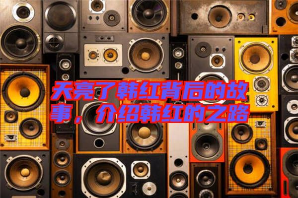 天亮了韓紅背后的故事,介紹韓紅的之路