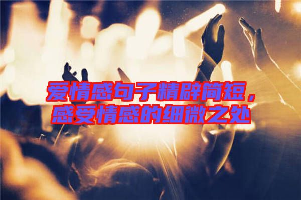 愛情感句子精辟簡短,感受情感的細微之處