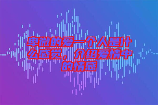 卑微的愛一個人是什么感覺,介紹愛情中的情感