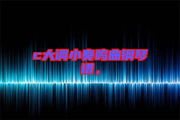 c大調(diào)小奏鳴曲鋼琴譜,