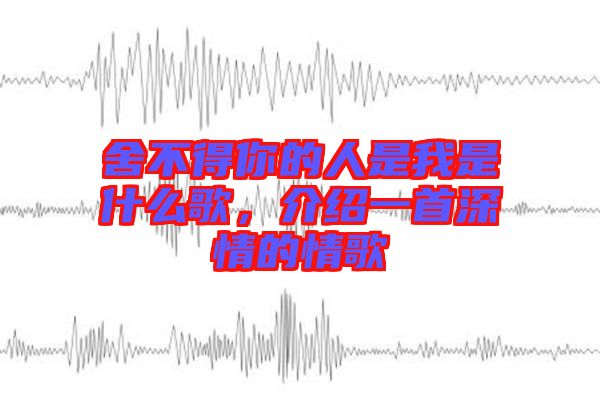 舍不得你的人是我是什么歌,介紹一首深情的情歌