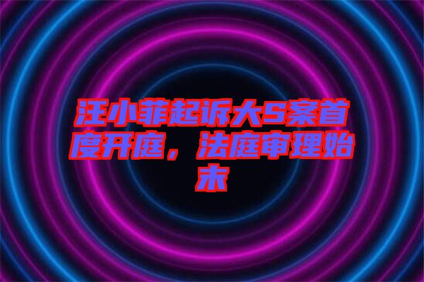 汪小菲起訴大S案首度開庭，法庭審理始末