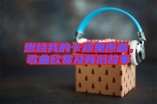 燃燒我的卡路里原唱,歌曲欣賞及背后故事