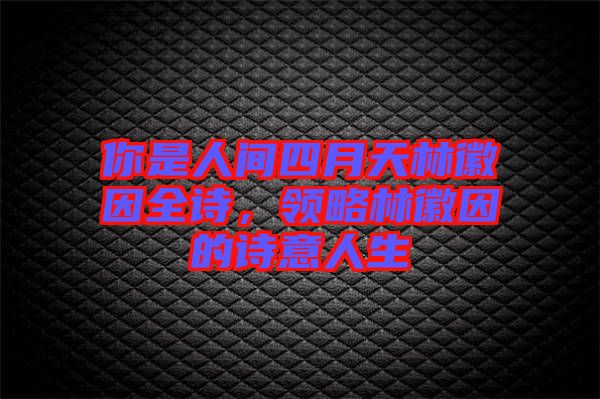 你是人間四月天林徽因全詩,領(lǐng)略林徽因的詩意人生