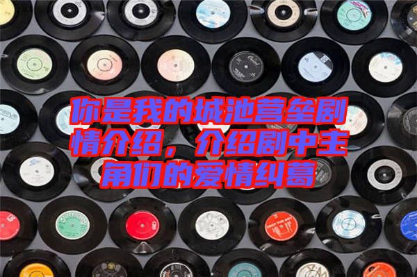 你是我的城池營壘劇情介紹,介紹劇中主角們的愛情糾葛