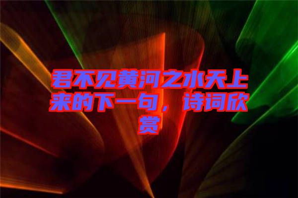 君不見(jiàn)黃河之水天上來(lái)的下一句,詩(shī)詞欣賞