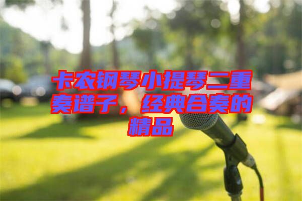 卡農(nóng)鋼琴小提琴二重奏譜子,經(jīng)典合奏的精品