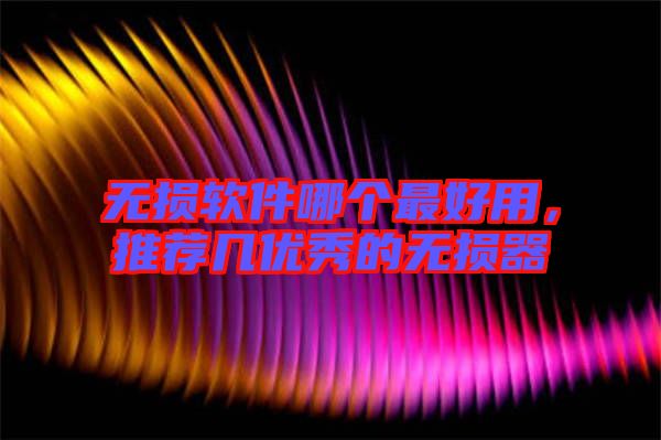 無損軟件哪個最好用,推薦幾優秀的無損器