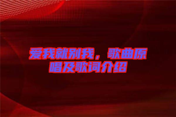 愛(ài)我就別我,歌曲原唱及歌詞介紹