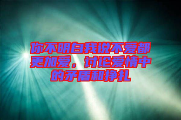 你不明白我說不愛都更加愛,討論愛情中的矛盾和掙扎
