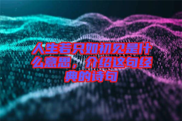 人生若只如初見(jiàn)是什么意思,介紹這句經(jīng)典的詩(shī)句