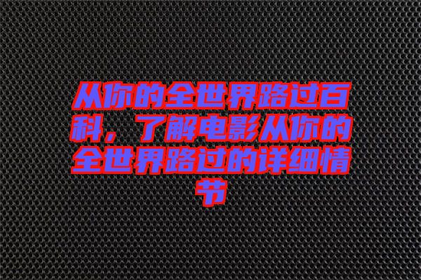從你的全世界路過百科,了解電影從你的全世界路過的詳細(xì)情節(jié)