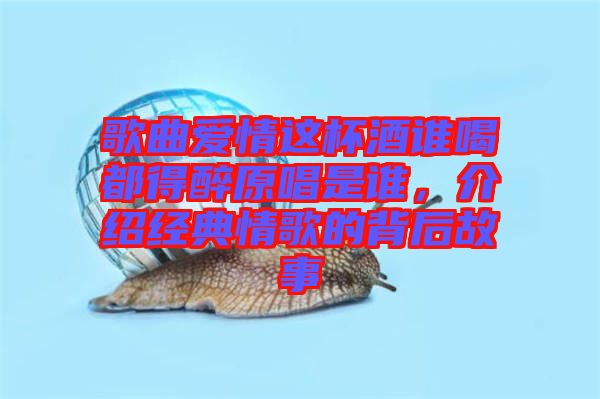 歌曲愛情這杯酒誰喝都得醉原唱是誰，介紹經典情歌的背后故事