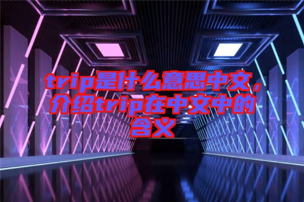 trip是什么意思中文,介紹trip在中文中的含義