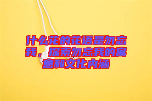 什么花的花語是勿忘我,探索勿忘我的寓意和文化內涵