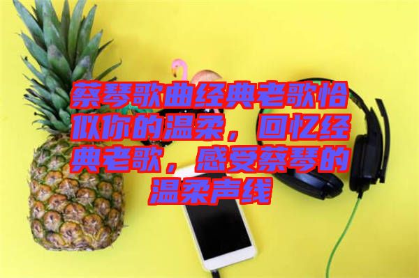 蔡琴歌曲經典老歌恰似你的溫柔,回憶經典老歌,感受蔡琴的溫柔聲線