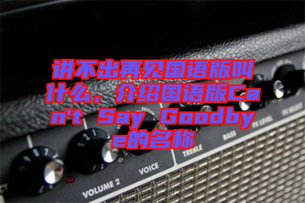 講不出再見國(guó)語(yǔ)版叫什么,介紹國(guó)語(yǔ)版Can't Say Goodbye的名稱