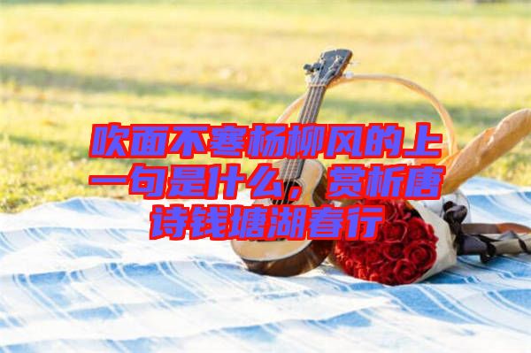 吹面不寒楊柳風的上一句是什么,賞析唐詩錢塘湖春行