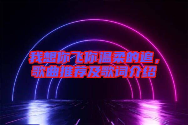 我想你飛你溫柔的追，歌曲推薦及歌詞介紹