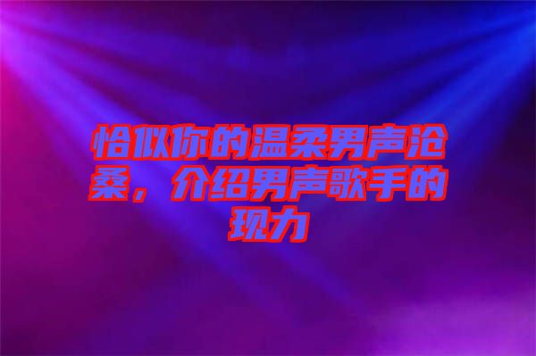 恰似你的溫柔男聲滄桑,介紹男聲歌手的現(xiàn)力