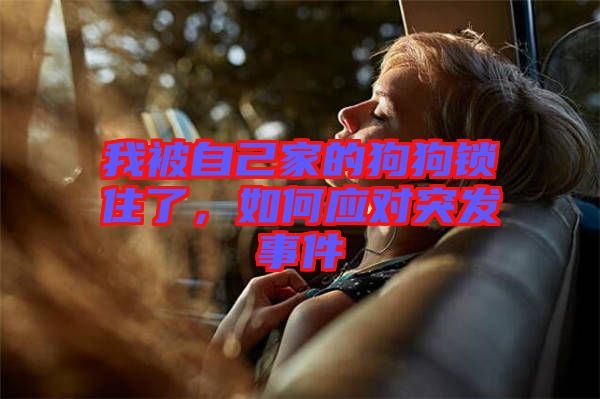 我被自己家的狗狗鎖住了,如何應對突發事件