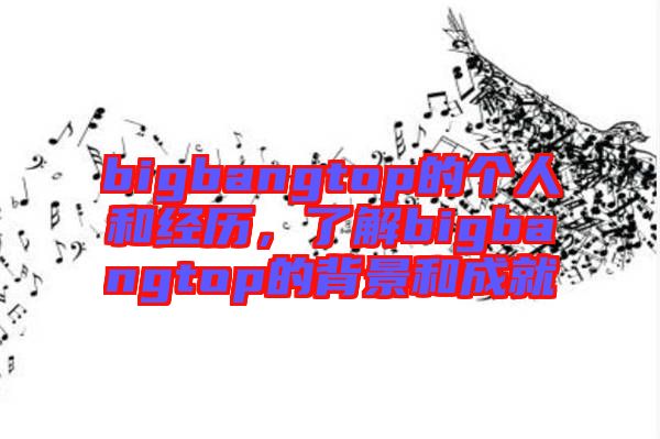 bigbangtop的個人和經歷,了解bigbangtop的背景和成就