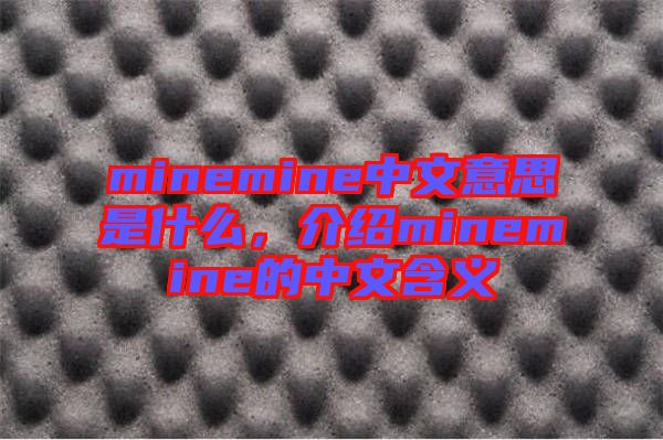 minemine中文意思是什么,介紹minemine的中文含義
