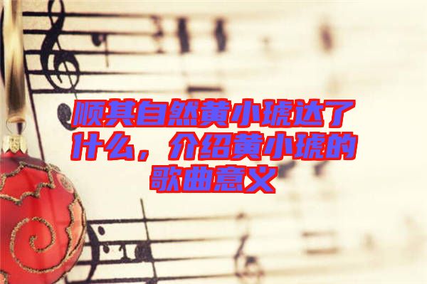 順其自然黃小琥達了什么,介紹黃小琥的歌曲意義