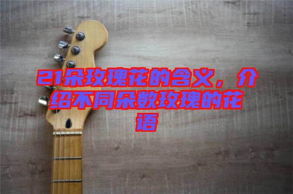 21朵玫瑰花的含義,介紹不同朵數玫瑰的花語