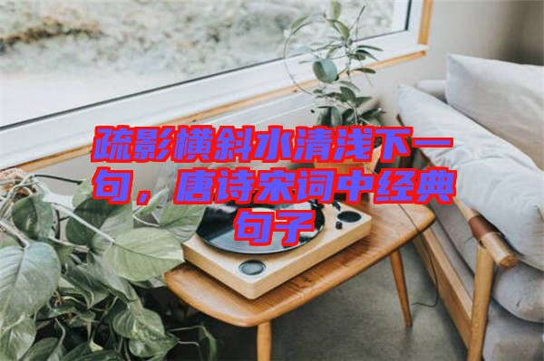 疏影橫斜水清淺下一句，唐詩宋詞中經典句子