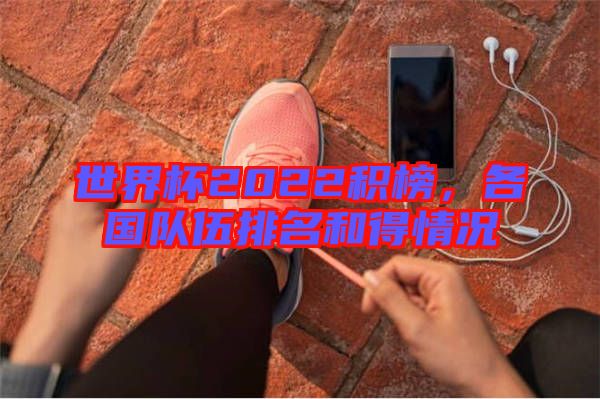 世界杯2022積榜，各國隊伍排名和得情況