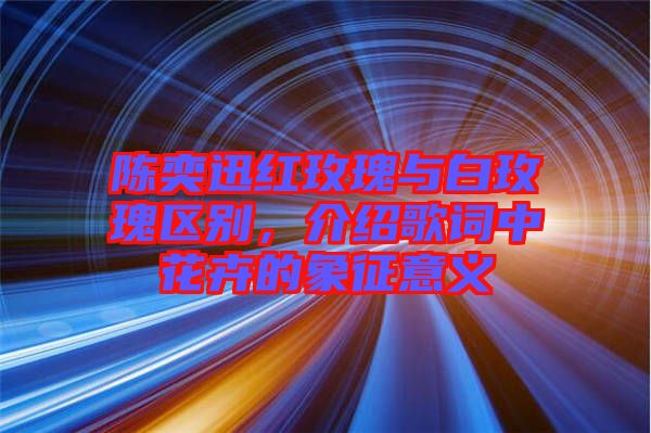 陳奕迅紅玫瑰與白玫瑰區(qū)別,介紹歌詞中花卉的象征意義