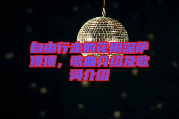 自由行走的花周深薩頂頂,歌曲介紹及歌詞介紹