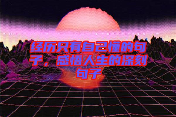 經(jīng)歷只有自己懂的句子,感悟人生的深刻句子