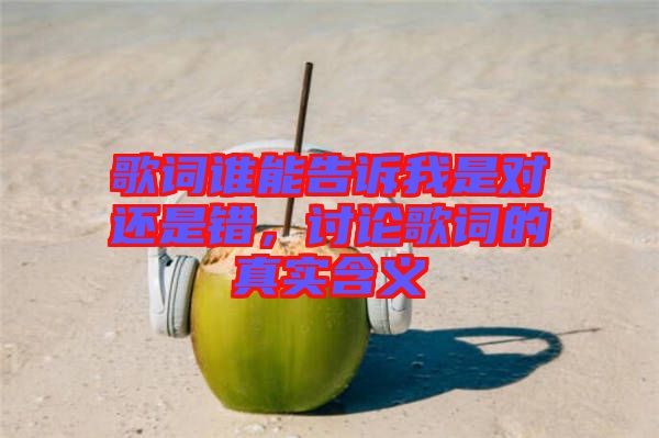 歌詞誰能告訴我是對還是錯,討論歌詞的真實含義